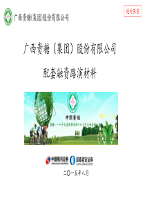 贵糖股份配套融资非公开发行路演文件.