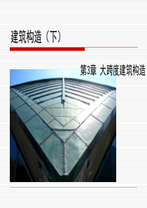 第三讲大跨度建筑构造