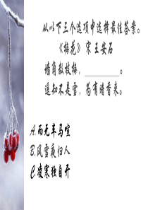 诗歌PPT模板-(51)