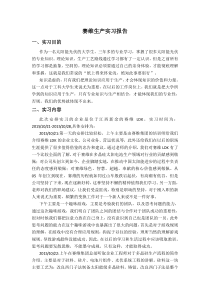 赛维生产实习报告