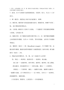 解剖学复习大题