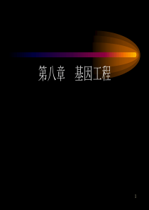 第八章基因工程ppt-第八章基因工程