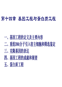 第十四章基因工程与蛋白质工程