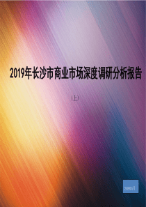 2019年长沙市商业市场深度调研分析报告