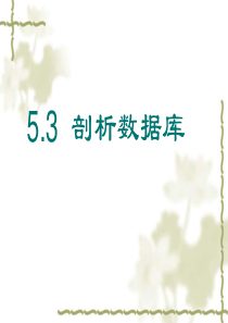 5.3-剖析数据库