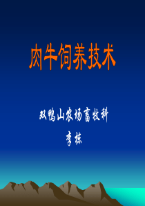 肉牛生产技术.