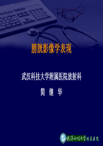 肾上腺与膀胱.
