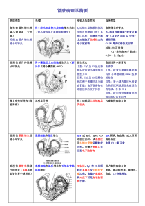 肾脏病理学精要