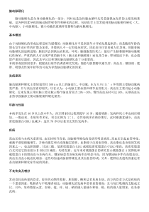 脑动脉硬化