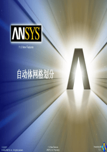 自动体网格生成