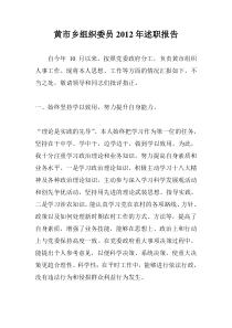 组织委员述职报告