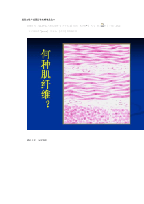 组胚实验考试图及答案65张全在