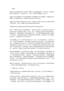细胞分化潜能