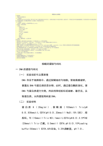 细菌基因提取裂解液