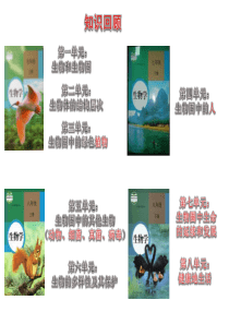 ppt课件--植物的生殖