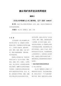 绢云母矿的开发及利用现状23