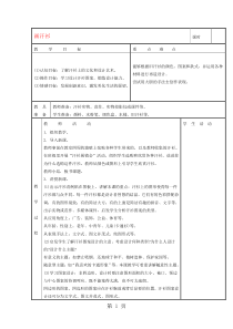 六年级下美术教案-画汗衫l苏少版