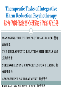综合的降低危害心理治疗的治疗任务.