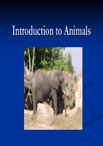 英语（英文）版动物世界（动物介绍）introductiontoanimals