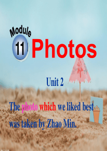 新外研版九年级英语上M11U2