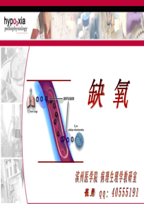 缺氧病生课件.