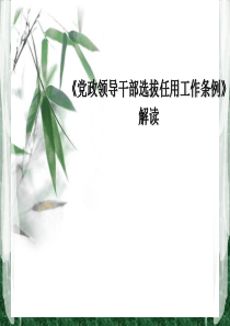 党政领导干部选拔任用工作条例解读PPT(共-48张)