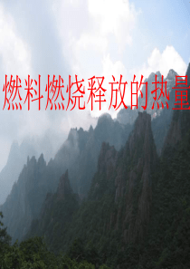 燃料燃烧释放的热量1(教学课件201908)