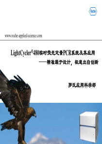 罗氏480系统特点及应用方向