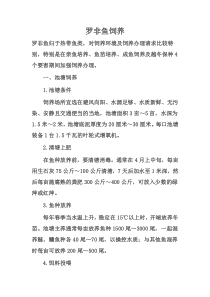 罗非鱼饲养