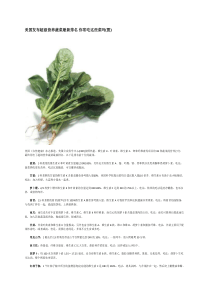 美国发布超级营养蔬菜最新排名你常吃这些菜吗