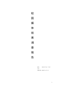 调研报告范例模版