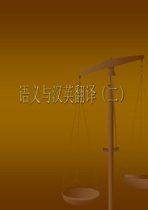 翻译学第十一讲.