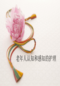 老年人认知与感知的护理.