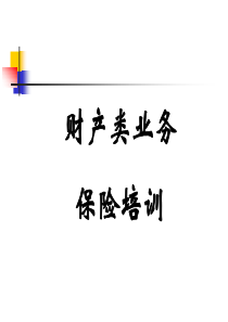 财产险类业务培训资料(修改)