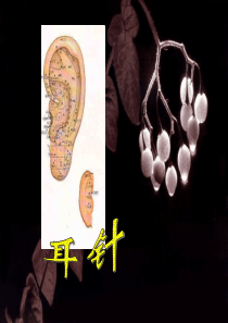 耳针疗法介绍.