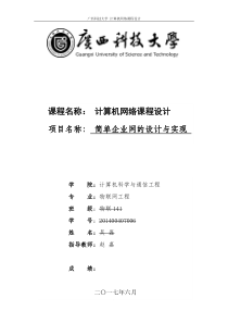 计算机网络设计报告-华为eNSP模拟器