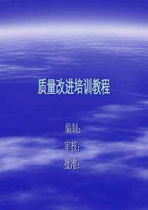 质量改进培训教程