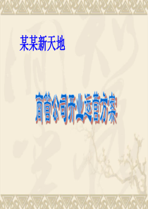 购物中心开业运营方案