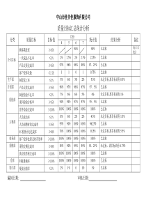 质量目标汇总统计分析表