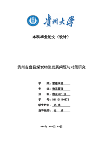 贵州盘县煤炭物流存在的问题与对策研究