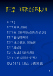 第五章刑事诉讼的基本原则.