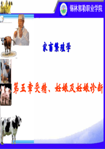 第五章受精妊娠及妊娠诊断