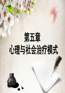 第五章心理社会治疗模式.