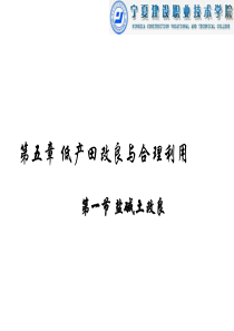 第五章第一节 盐碱地改良.