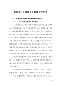 茶陵县社会保障工作报告