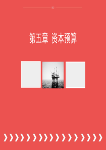 第五章资本预算(财务管理学)