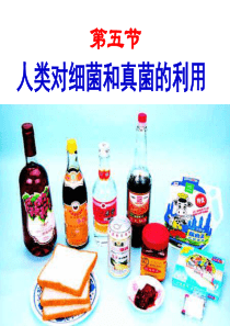 第五节《人类对细菌和真菌的利用》(张).