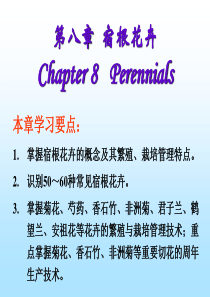 第八章宿根花卉.