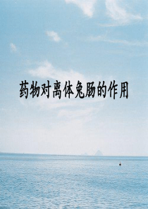 药理学实验药物对离体兔肠的作用