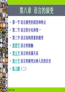 第八章语言的演变(下)